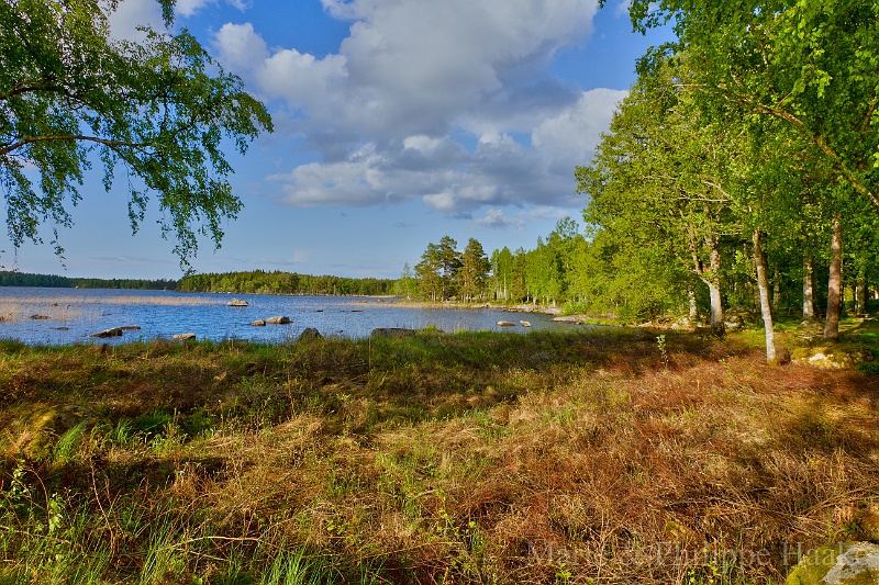 Tiveden 5292.jpg - Asnen Lake, Suède (mai 2011)